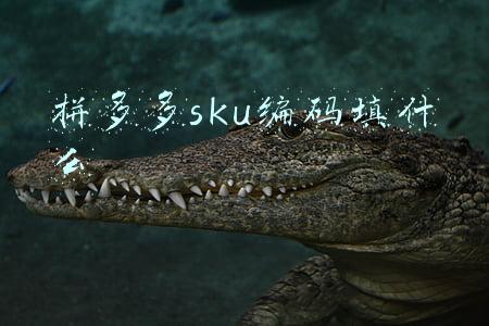 拼多多sku编码填什么