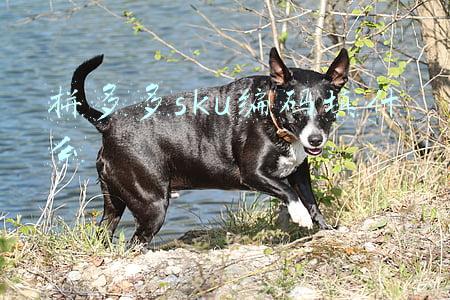 拼多多sku编码填什么