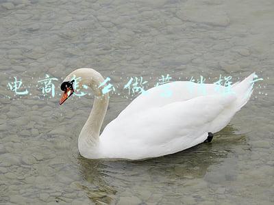 电商怎么做营销推广