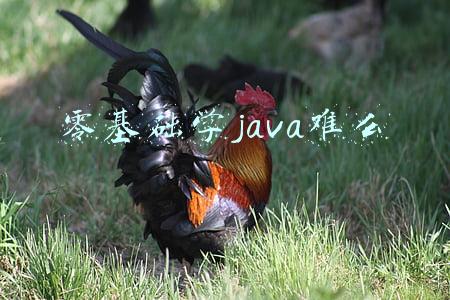 零基础学java难么 零基础学java难么