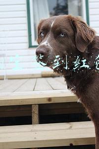 淘宝签到红包