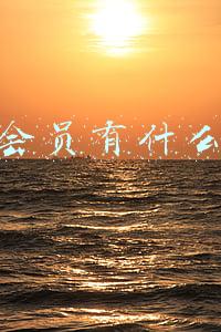 京东会员有什么好处