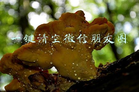 一键清空微信朋友圈