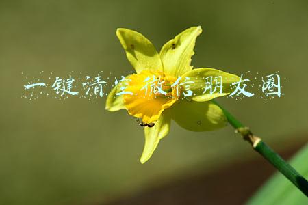 一键清空微信朋友圈