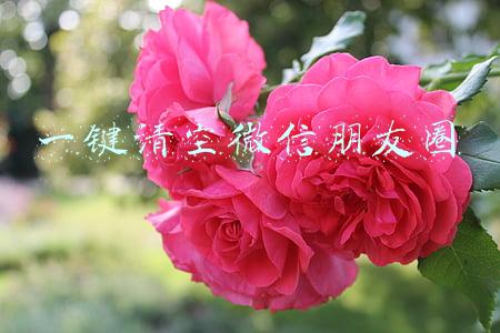 一键清空微信朋友圈