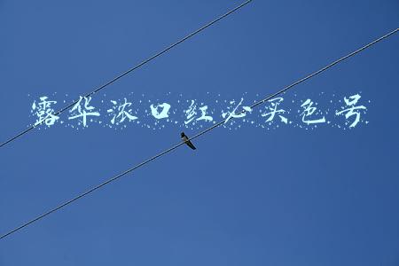 露华浓口红必买色号