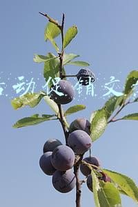 活动促销文案