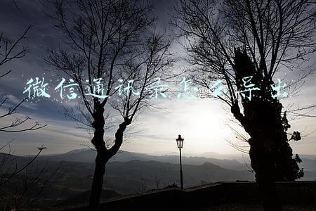 微信通讯录怎么导出
