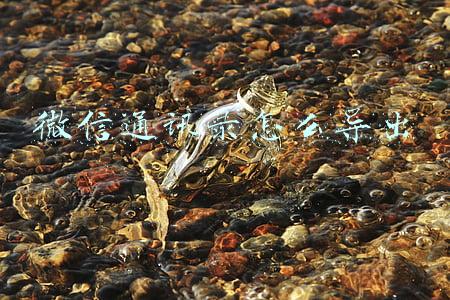 微信通讯录怎么导出电话号码(微信语音如何保存导出为mp3)