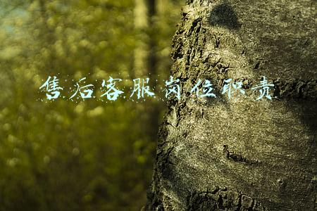 售后客服岗位职责描述(两分钟让你快速了解售后客服的工作职能)