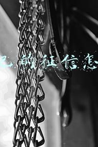 查自己的征信怎么查