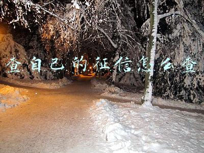查自己的征信怎么查