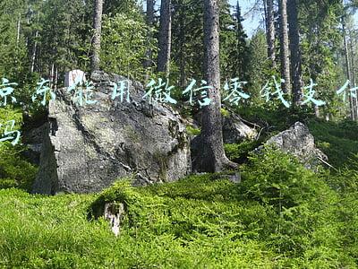 京东能用微信零钱支付吗