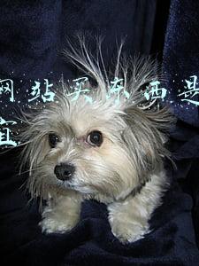 哪个网站买东西是正品又便宜