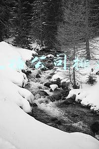 直播公司排名