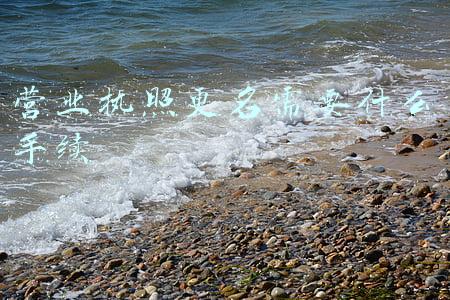 营业执照更名需要什么手续