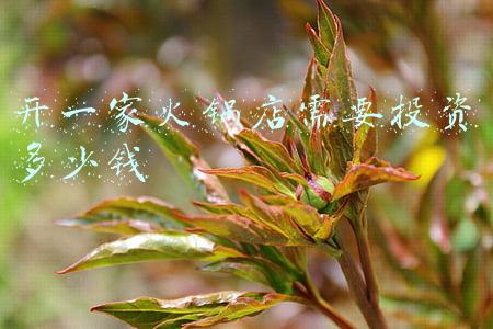 开一家火锅店需要投资多少钱