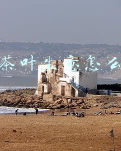 卖茶叶生意怎么样知乎(我，茶叶店老板，揭秘茶叶店怎么赚钱的，透露茶叶店一年赚多少钱)
