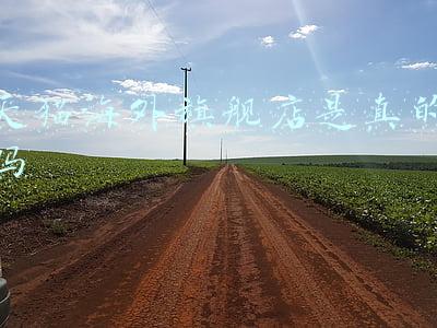 艾瑞可天猫海外旗舰店是真的吗(法国艾瑞可上海母婴展引轰动 国际品牌抢滩中国市场)