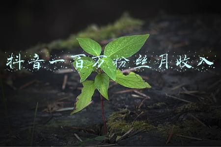 抖音一百万粉丝月收入 贴吧(100万粉丝，2年收益16万带来的启示，自媒体比我们想象的还要难)