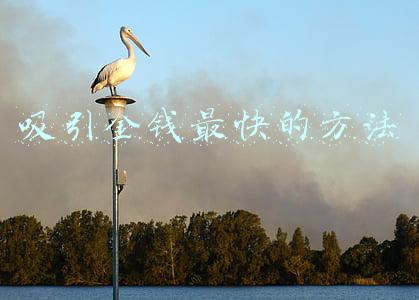 吸引金钱最快的方法