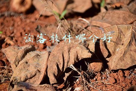 淘客软件哪个好