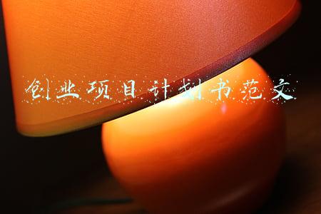 创业项目计划书范文