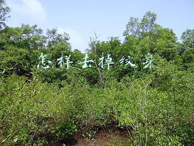 怎样去掉纹身