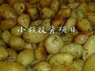 小额投资项目