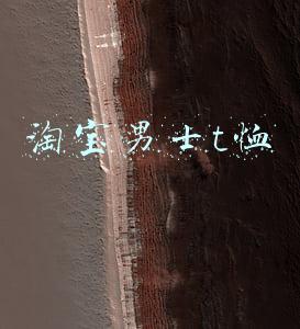 淘宝男士t恤