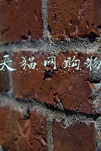 天猫网购物