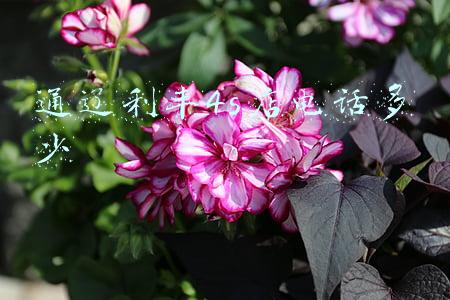 通辽利丰4s店客服电话-蒙牛通辽分公司联系电话
