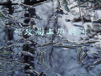 邮政局上班时间