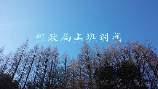 邮政局上班时间