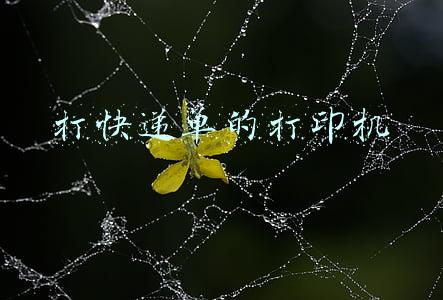 打快递单的打印机