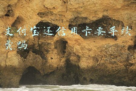 支付宝还信用卡要手续费吗怎样清除农田里面的木排草(遇到自然灾害不要慌，这条推送为你支招→)