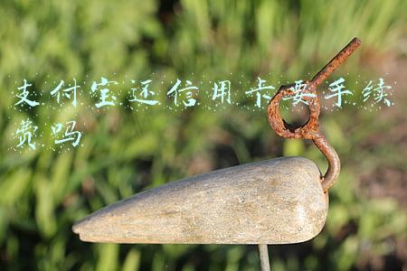 支付宝还信用卡要手续费吗 支付宝还信用卡要手续费吗