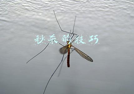 常识秒杀技巧(高中数学知识重点及秒杀方法集萃（解析版）高一高二抓紧收藏)