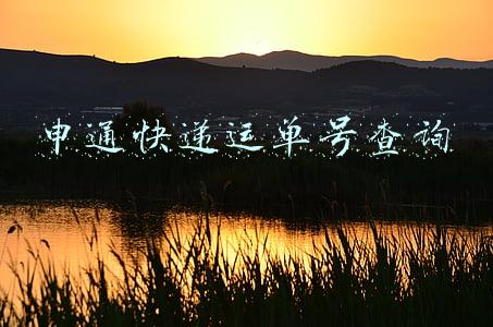 申通 快递查询单号(百世 中通 申通 圆通 韵达快递单号记录快速批量查询)