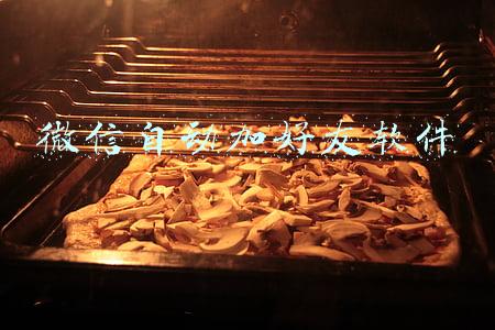 微信自动加好友软件