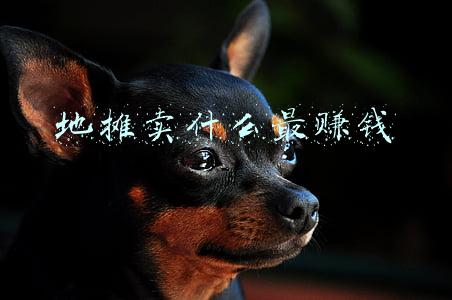 地摊卖什么最赚钱