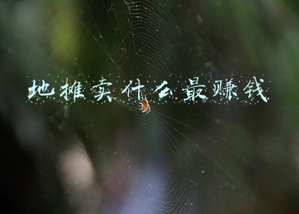 地摊卖什么最赚钱