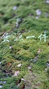 微商货源一件代发