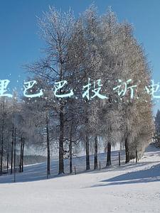 阿里巴巴投诉电话