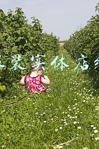 现在实体服装店应该怎样经营(女装实体店怎么经营？这些思路你一定要有)