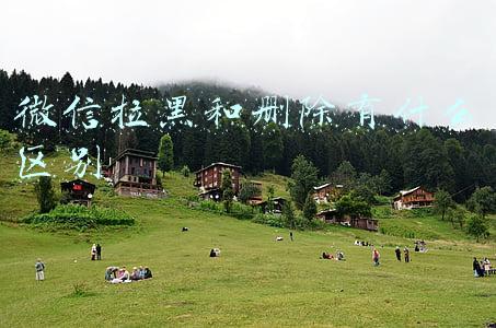 微信拉黑和删除有什么区别朋友圈背景(分手后，屏蔽、删除、拖黑的真正意义，句句直戳内心)