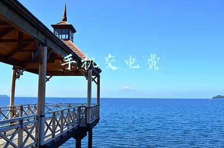 手机交电费
