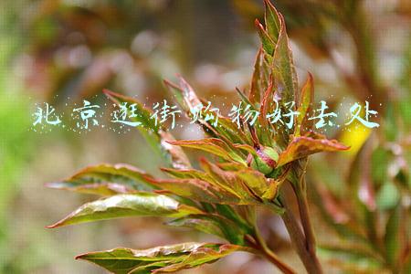 北京逛街购物好去处