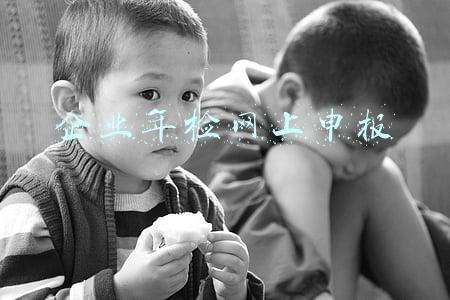 企业年检网上申报