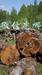 怎么看微信是哪一年注册的